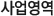사업영역